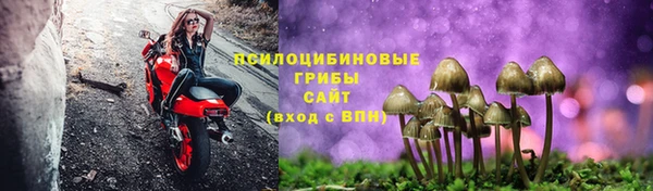 гидропоника Алексеевка
