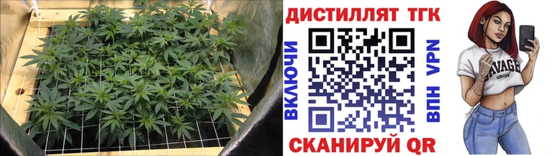 ТГК вейп с тгк  Находка 