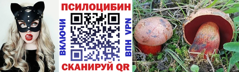 hydra ссылка  закладка  Находка  Псилоцибиновые грибы Psilocybine cubensis 