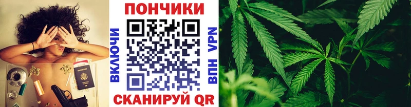 купить наркотик  KRAKEN tor  Каннабис THC 21%  Находка 